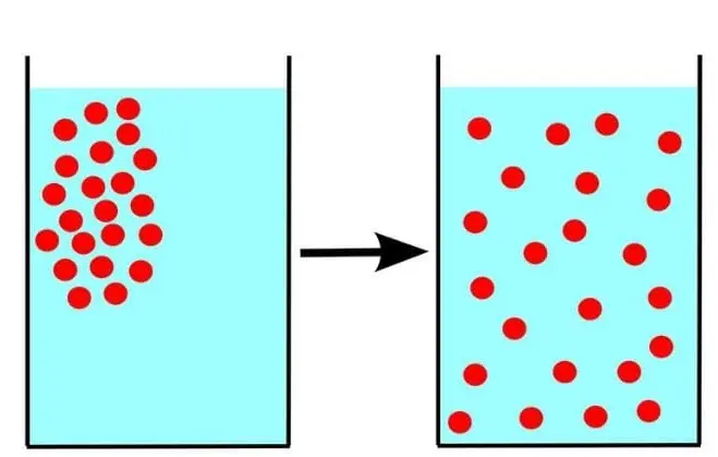 Diffusion