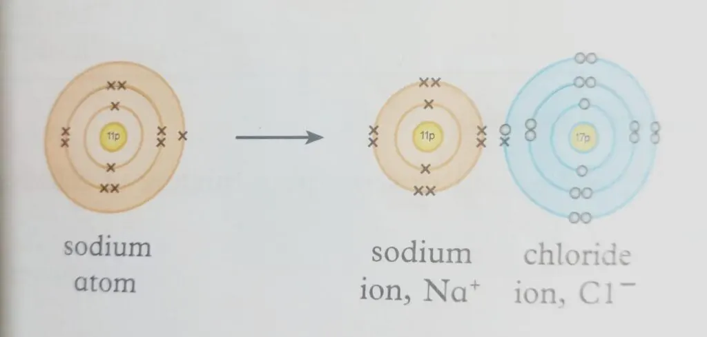 what is compound